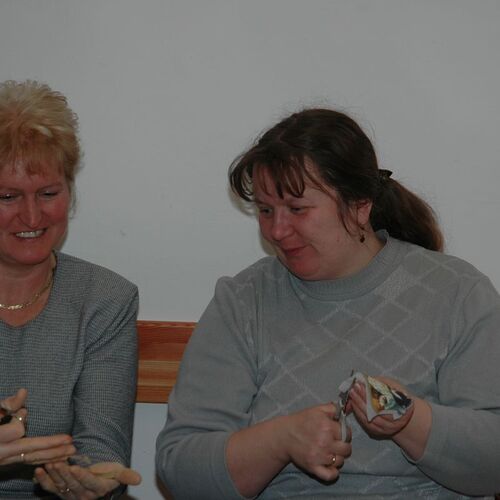 Rosa Wimmer, Monika Haslinger