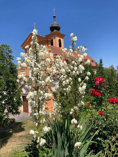 Pfarrkirche Juli 2025