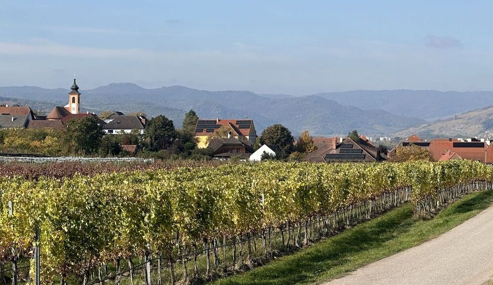 Herbstansicht